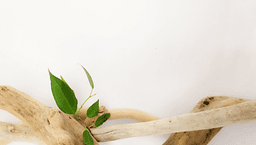 Nos dedicamos a la elaboración y venta de artículos de decoración y joyería artesanal utilizando madera nobles y madera de mar, piedras preciosas y cristales de Swarovski. 